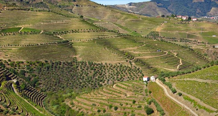 Douro Valley