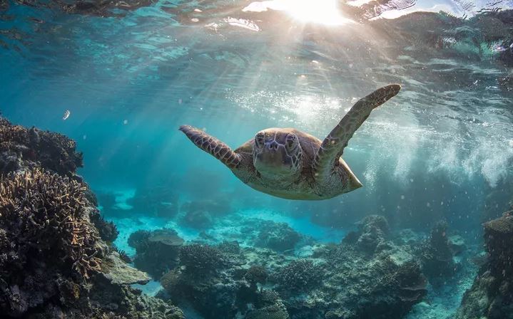 Scuba Diving Destinations