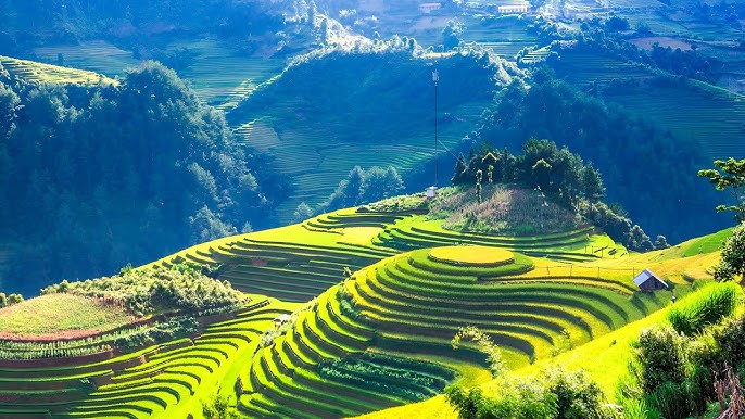 Mù Cang Chải