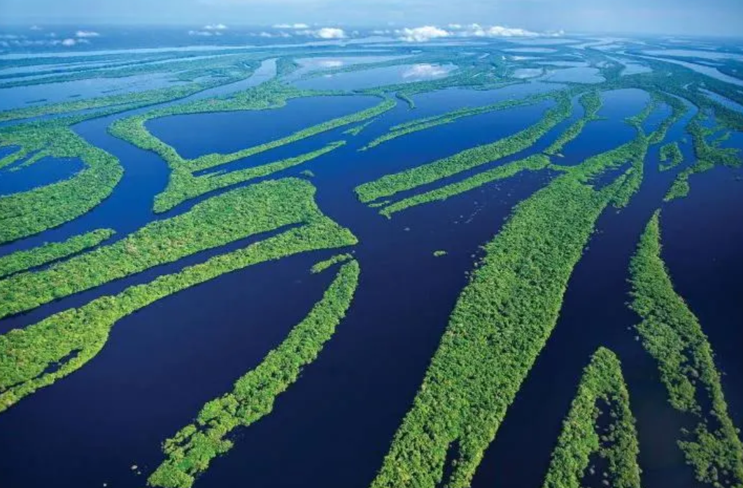 Brazilian Amazon