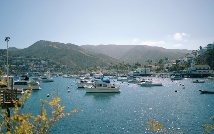 Catalina Island