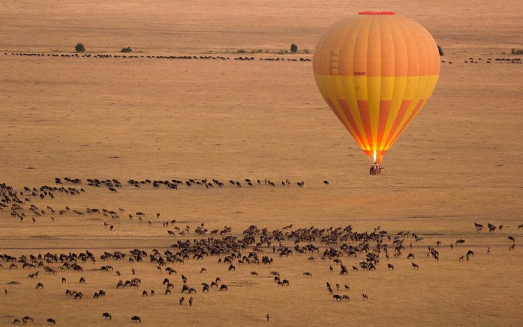 Exploring Tanzania